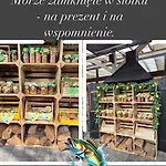 Aqua Caloroczne Semesterbostad *